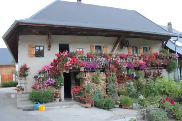 Farm Flowers