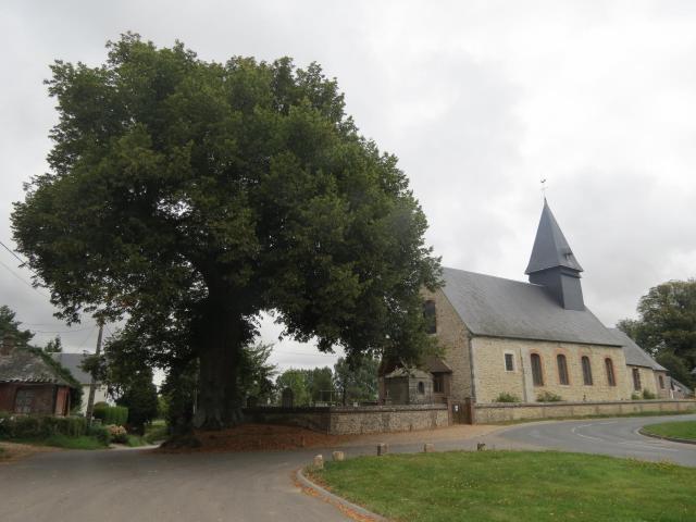 Église et tilleul de Mesnil-Raoul (Seine-Maritime, France).
