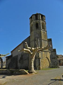 Campanal gotic occitan de la gleisa Sant Sernin de Daumazan de Volvèstre