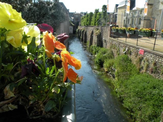 La Lézarde à Montivilliers.