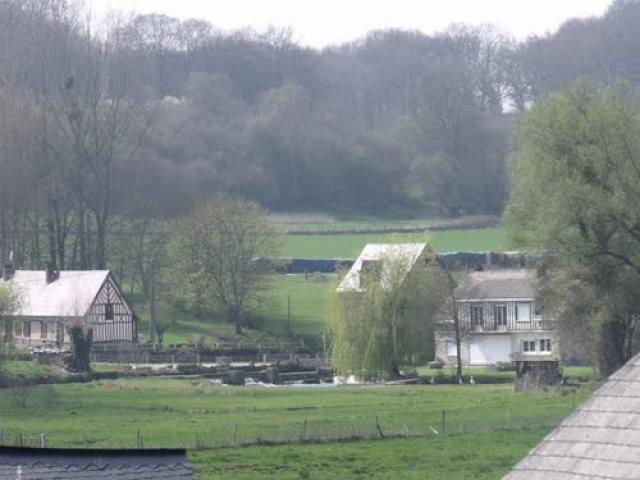 Durdent view