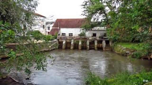 Coton - Moulin sur le Petit Morin