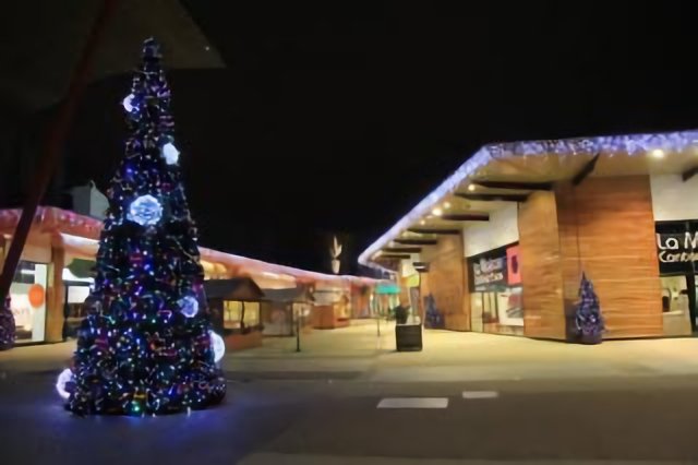 Le sapin de Maisonement (Cesson)