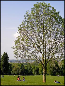 Parc de Noisiel
