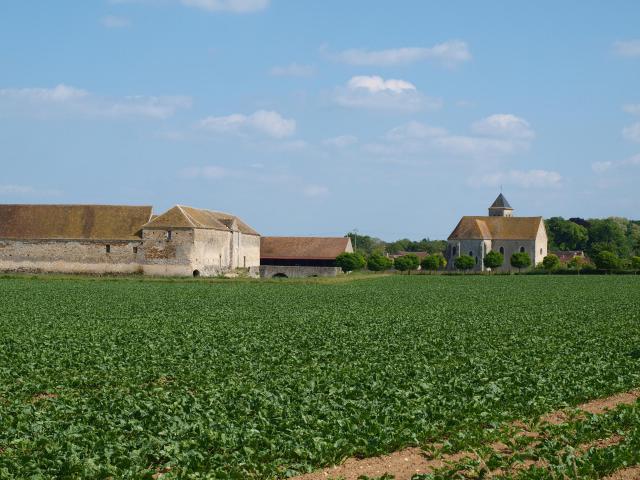 Château d'Esmans (Seine et Marne, France)