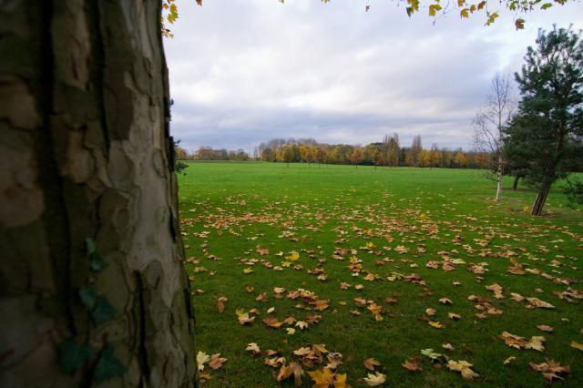 Parc de Noisiel