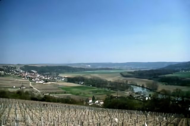 Le vignoble de Champagne à Nanteuil sur Marne
