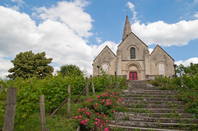 Photos prises à Sartrouville et montrant les vignes de la ville devant l'église millénaire Saint Martin.