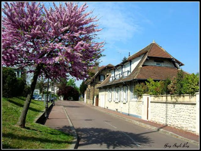 Traditional houses near the station, Villennes sur Seine.