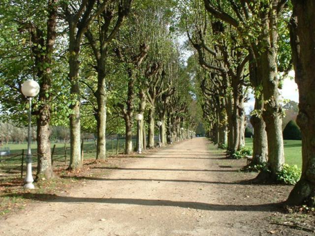 parc du château de Plaisir (Yvelines)