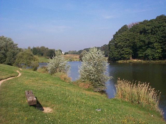 Etangs de la Minière ( les roussières )