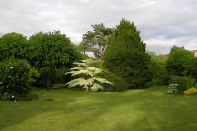 jardin de Vernouillet