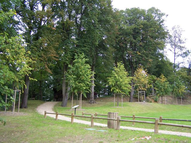 Site de Tournebride à la Celle-Saint-Cloud (Yvelines, France)