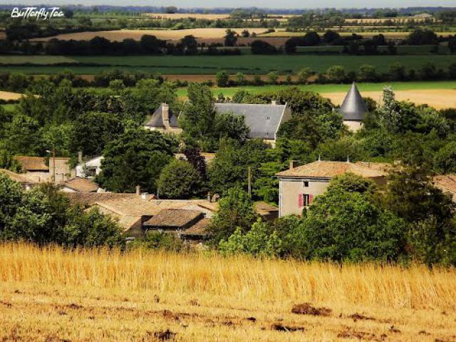 La Table d'Orientation du plateau aux Cyprès