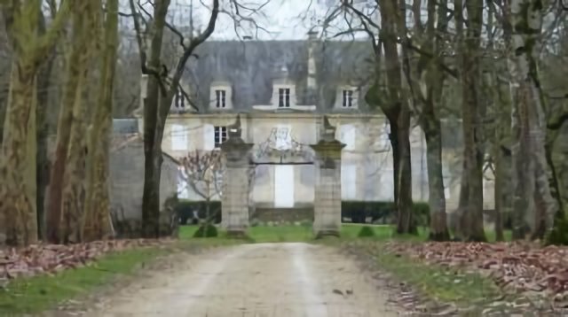 château de la mothe du bois 79230 Brulain