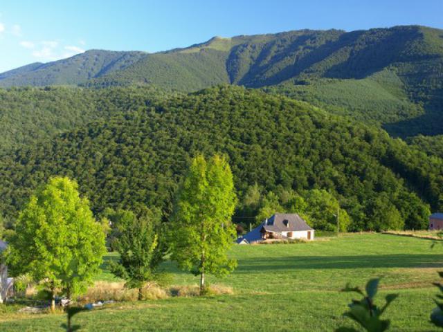 Le Moussau