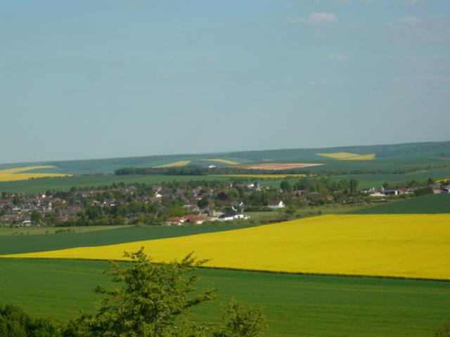 palis, vue générale