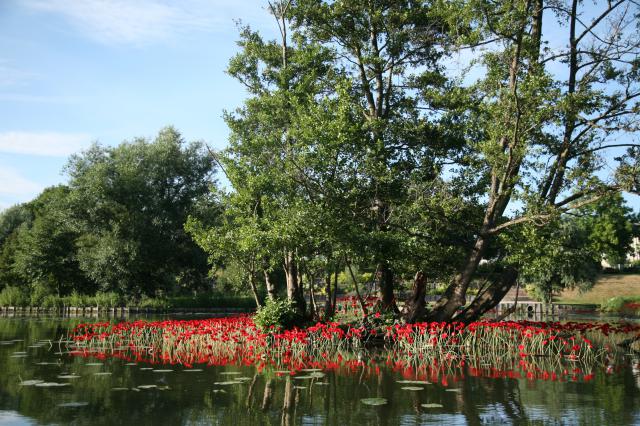 Les hortillonnages d'Amiens en 2010