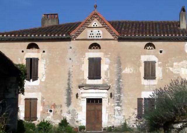 CASTELNAU DE LEVIS - Liniére.