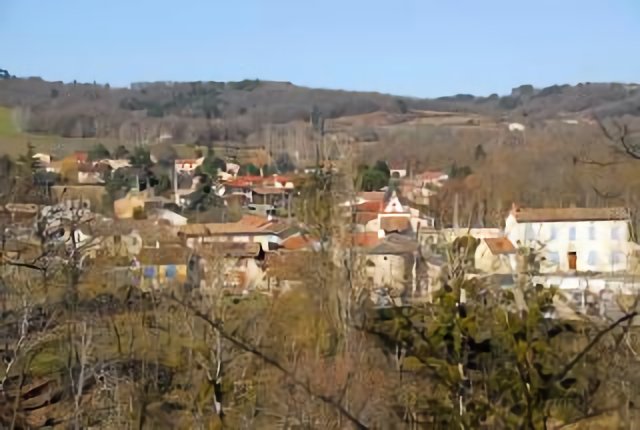 Busque vue du chemin des Tardives