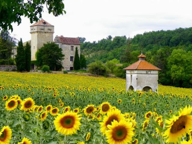 LIVERS-CAZELLES - le château et le pigeonnier.