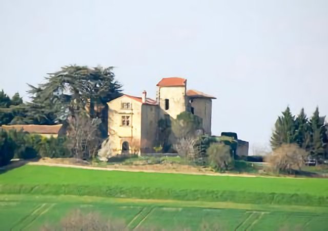 Château de Magrin (1)