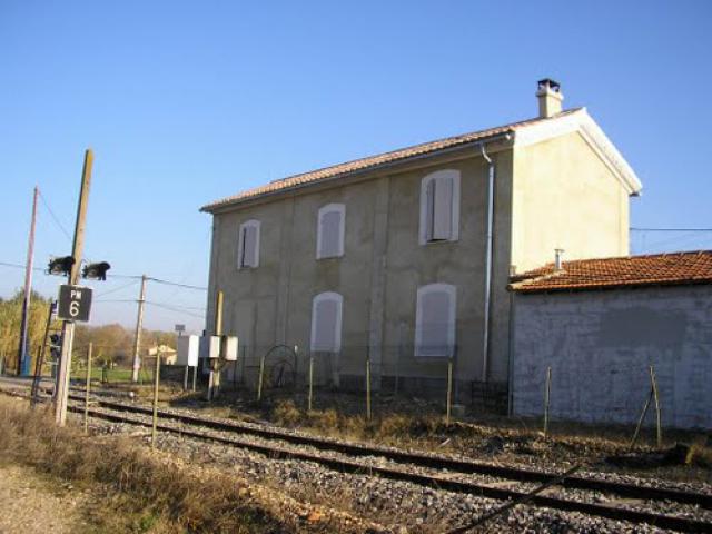 Althen les paluds