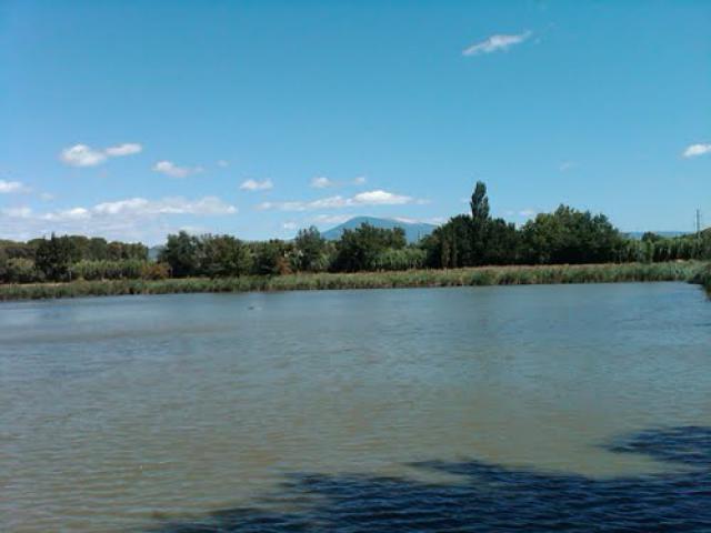 Lac, Loriol-du-Comtat, France