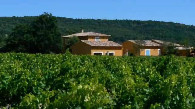 mas dans les vignes