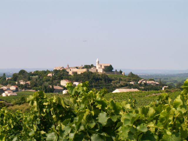 Cairanne au coeur du vignoble
