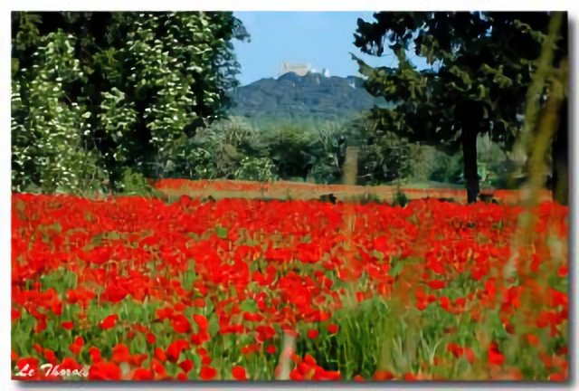 Thouzon,Le Thor, Provence, Vaucluse, Provence Alpes Cote d'Azur, France