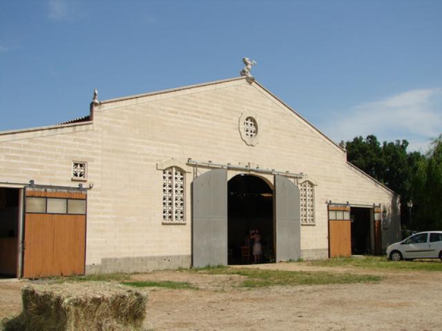 Haras du Lipizzan - La Roque d'Anthéron (13)