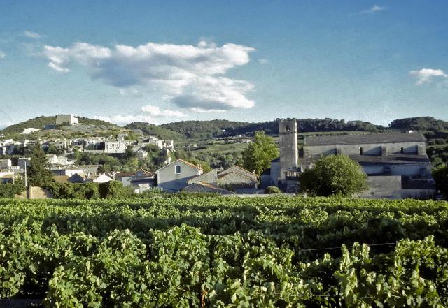 Vignoble de Vaison-la-Romaine