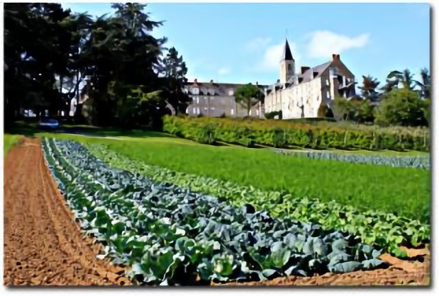 Nunnery and vegetable garden, Chavagnes-en-Pailliers