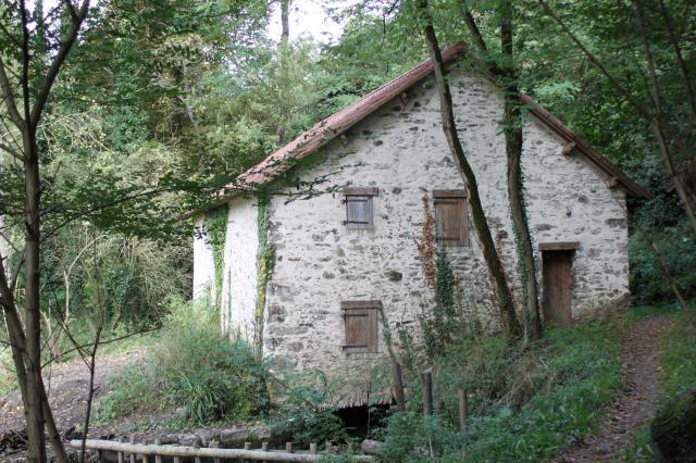 Moulin de Lourdes, sur la Petite Maine, XV°, XIX°, XX°, Fr-85-Chavagnes-en-Paillers.