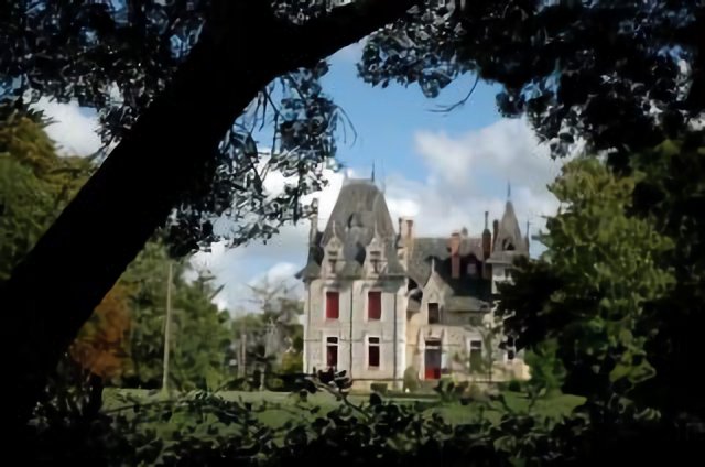 Chateau situé a coté de l'abbaye de l'ile chauvet