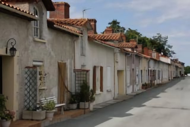 Faymoreau - Coron de la Haute Terrasse
