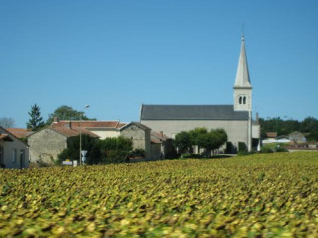 L'église de MESSEME (86).