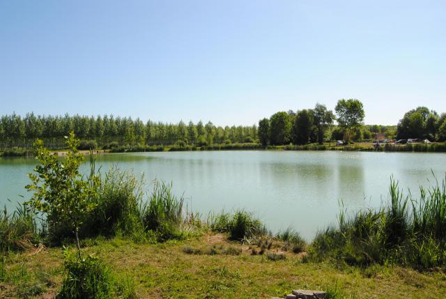 Véritable poumon vert au cœur du centre-ville, ce vaste lieu comprend notamment un jardin pour enfants, un arboretum, un parcours de…