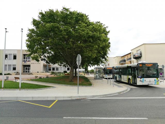 Bus du réseau Vitalis à l'arrêt "Buxerolles mairie"