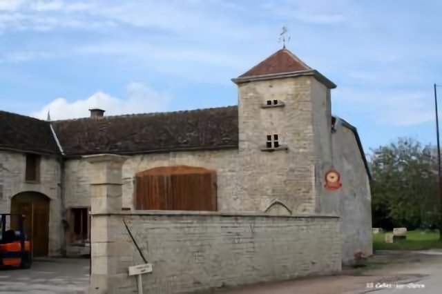 10 Celle-sur-Ource - Pigeonnier