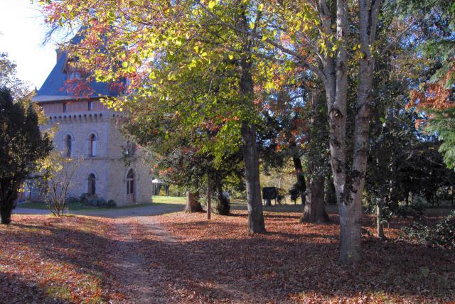 Château de Gigondas Commune d'Isle (Haute Vienne)