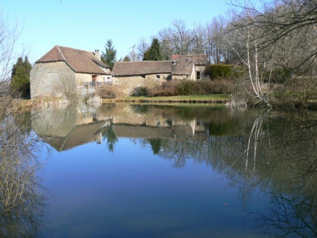 Miroir tranquille
