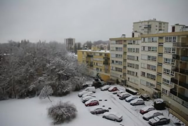 La blanche de décembre.