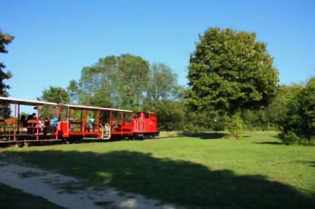 Draveil. Petit train de la base de Loisirs du Port-Aux-Cerises