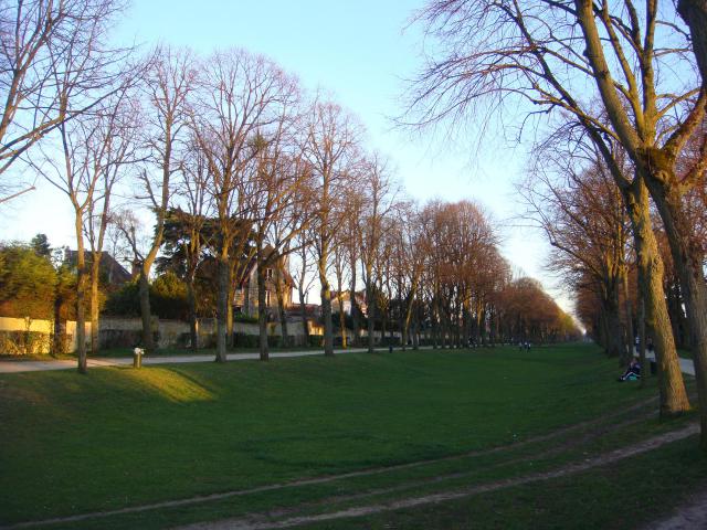 Vue de la Pelouse, ou allée de la Grange, ancienne allée d'honneur du château à Montgeron (Essonne)