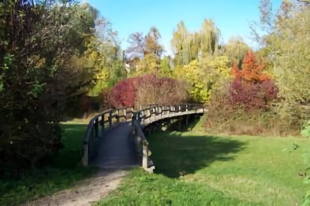 Les bords de l'Orge.