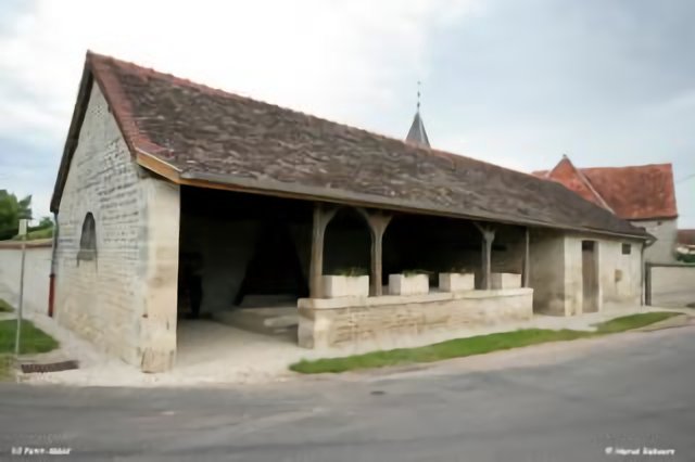Lavoir de Petit-Mesnil (10)