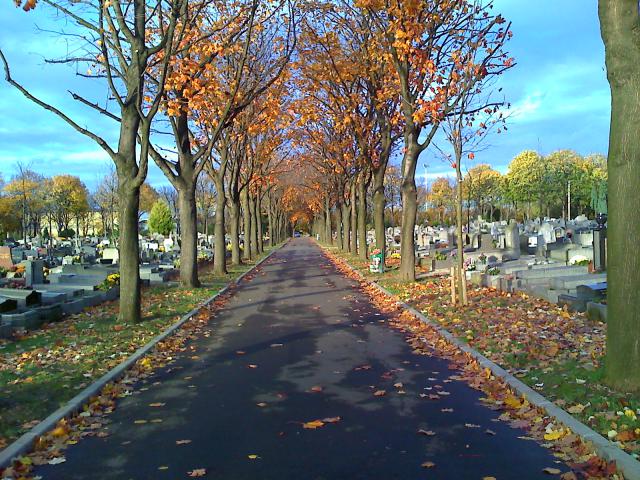 L'Avenue Transversale N° 2 du cimetière parisien de Saint-Ouen.