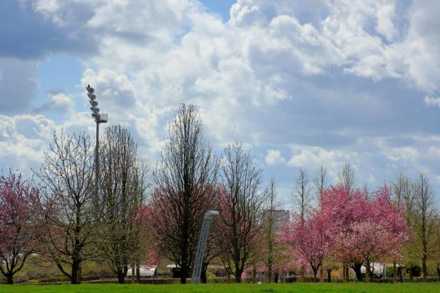 Le parc départemental des Hautes-Bruyères à Villejuif (Val-de-Marne).